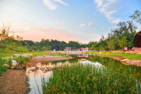 傍晚的公園滯洪池，水面倒映粉橘色天空，岸邊長滿水生植物與草叢；遠處有樹林、幾棟建物與一座木構造物。
