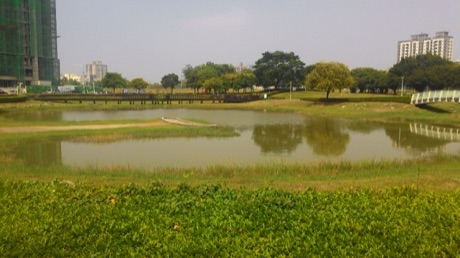 五甲公園的池塘與草地，右側有白色步道橋，遠處是樹林與大樓