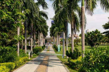 公園步道兩側種滿高聳的棕櫚樹，步道以磚石鋪成並向遠方延伸；兩旁為修剪過的草坪與灌木，遠處可見高樓，天空晴朗。