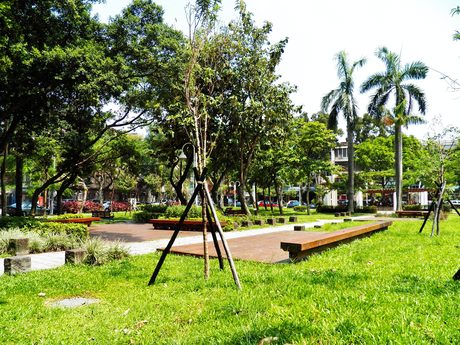 民生公園西側草地與木構平台長凳，四周有新植喬木、紅色座椅與棕櫚，後方為民生社區街屋。