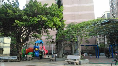 板橋玫瑰公園的遊戲區，大樹下有組合溜滑梯、藍色鞦韆架和長椅。