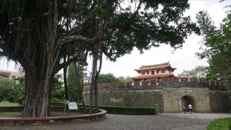 大南門城與老榕樹