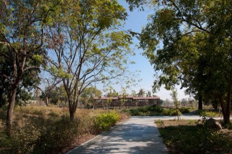公園中的鋪面步道，兩側為草地、灌木與枝葉扶疏的樹木；遠處可見一棟長條形建築的屋頂，天空晴朗。